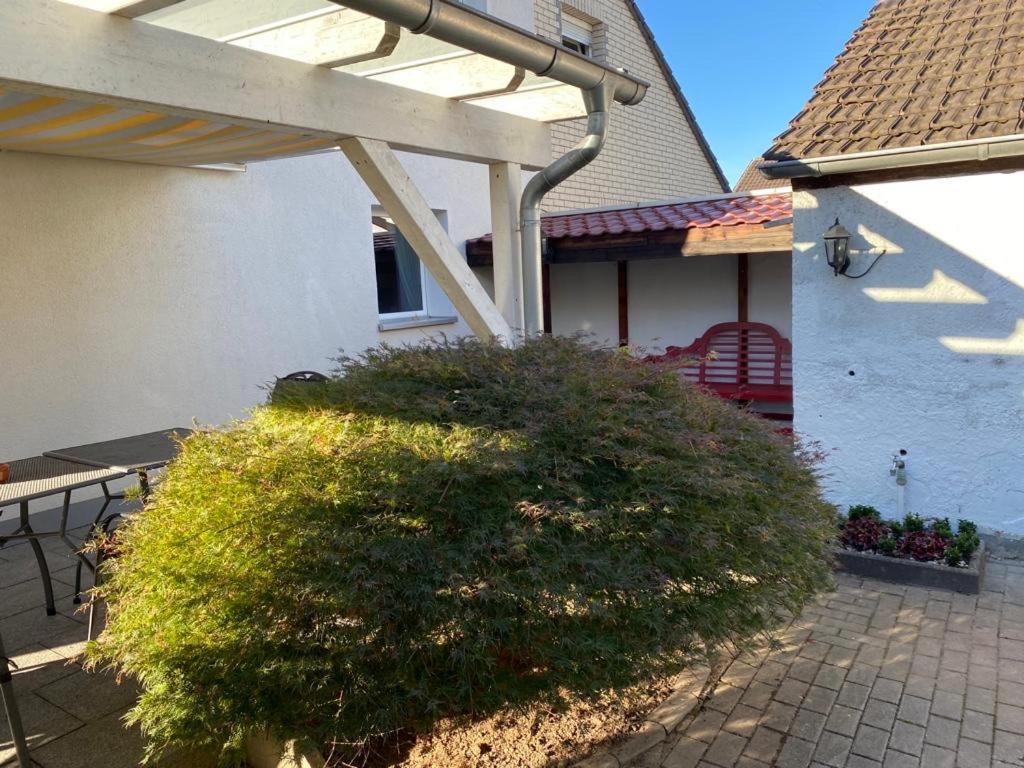 Вилла Wohnzeit-Koeln Экстерьер фото